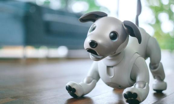 Sony’s Aibo Robo Dog is Back and It’s Cuter than Ever