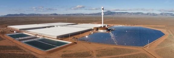 Australian Desert Farm Grows 17,000 Metric Tons of Vegetables with just Seawater and Sun